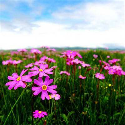 赛博体育手机app下载